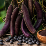 mucuna pruriens and testosterone