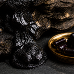 shilajit and testosterone
