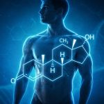 testosterone and cognitive function